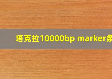 塔克拉10000bp marker条带